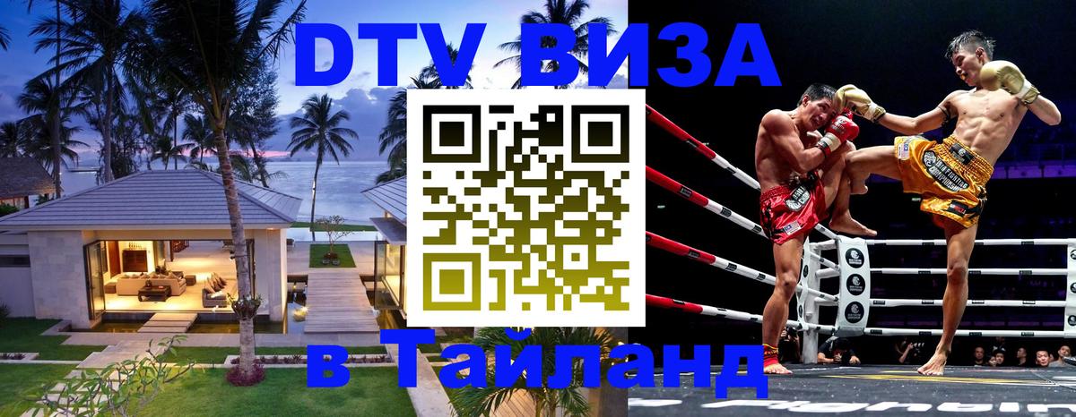 Оформление DTV визы под ключ: стоимость и тарифы, только загранпаспорт - 